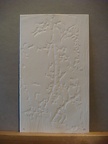 dsc03231