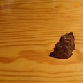 dsc00082ff.jpg