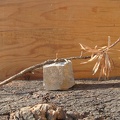 dsc01489.jpg