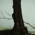 dsc02013.jpg