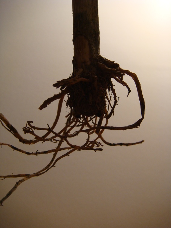 dsc02505