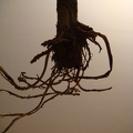 dsc02505