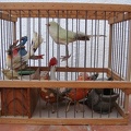 DSC03650