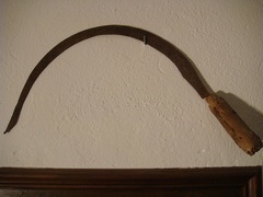 DSC03651