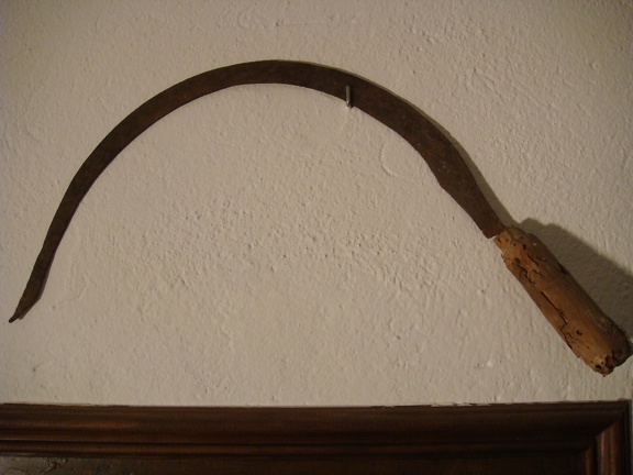 DSC03651