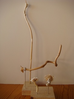 AAC02435
