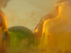 DSC01292