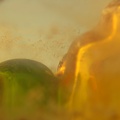 DSC01292