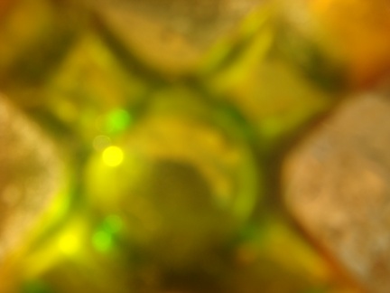 DSC01295