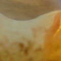 DSC01298
