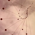 Meca02