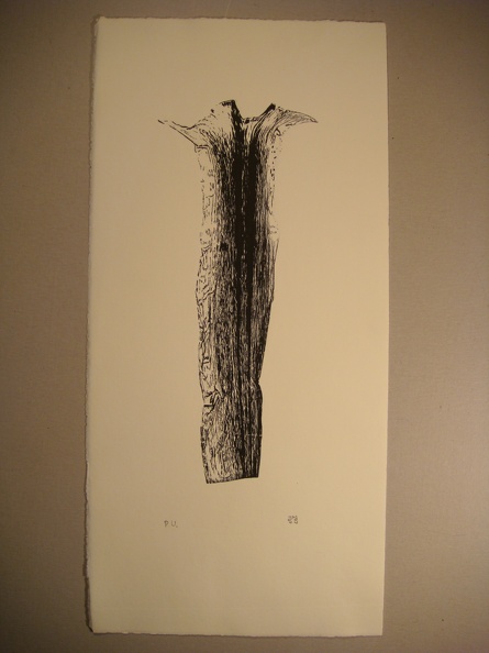 dsc03017