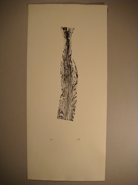 dsc03018