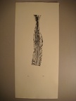 dsc03018