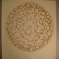 dsc03020