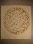 dsc03020