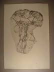 dsc02972