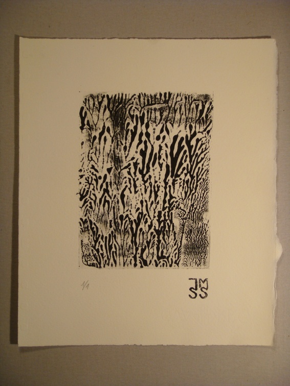 dsc02986