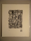 dsc02986