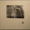 dsc02987